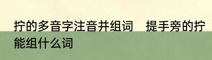 拧的多音字注音并组词　提手旁的拧能组什么词