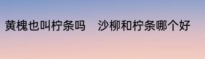 黄槐也叫柠条吗　沙柳和柠条哪个好