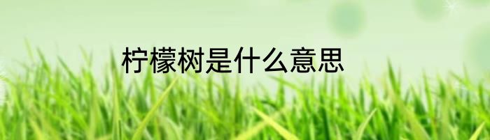 柠檬树是什么意思