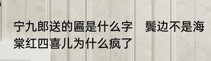 宁九郎送的匾是什么字　鬓边不是海棠红四喜儿为什么疯了