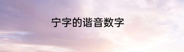 宁字的谐音数字