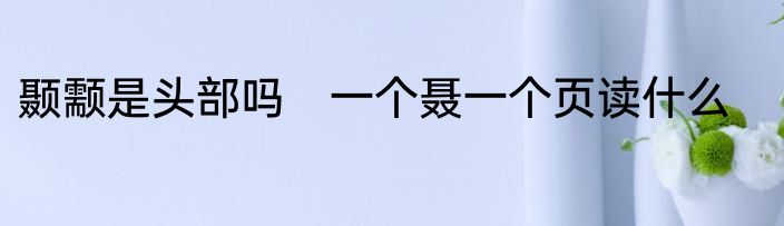 颞颥是头部吗　一个聂一个页读什么