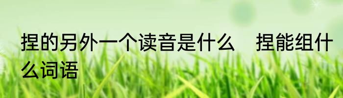 捏的另外一个读音是什么　捏能组什么词语