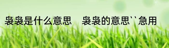 袅袅是什么意思　袅袅的意思``急用