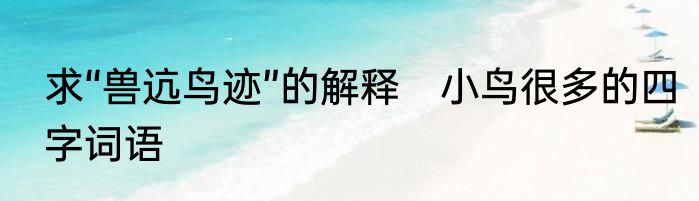 求“兽迒鸟迹”的解释　小鸟很多的四字词语