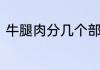 牛腿肉分几个部位　厂房牛腿指什么