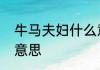 牛马夫妇什么意思　工地牛马是什么意思