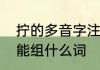 拧的多音字注音并组词　提手旁的拧能组什么词