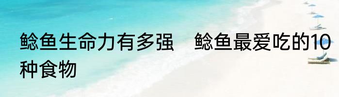 鲶鱼生命力有多强　鲶鱼最爱吃的10种食物