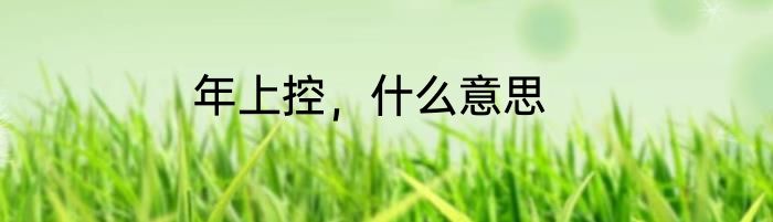 年上控，什么意思