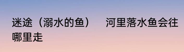 迷途（溺水的鱼）　河里落水鱼会往哪里走