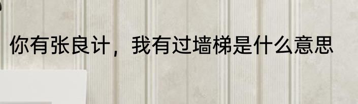 你有张良计，我有过墙梯是什么意思
