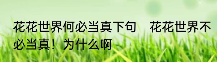 花花世界何必当真下句　花花世界不必当真！为什么啊