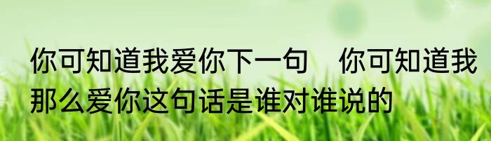 你可知道我爱你下一句　你可知道我那么爱你这句话是谁对谁说的