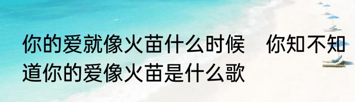 你的爱就像火苗什么时候　你知不知道你的爱像火苗是什么歌