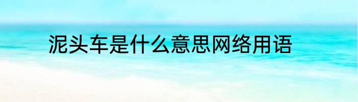 泥头车是什么意思网络用语