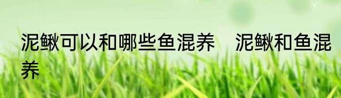 泥鳅可以和哪些鱼混养　泥鳅和鱼混养