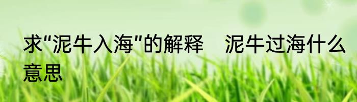 求“泥牛入海”的解释　泥牛过海什么意思