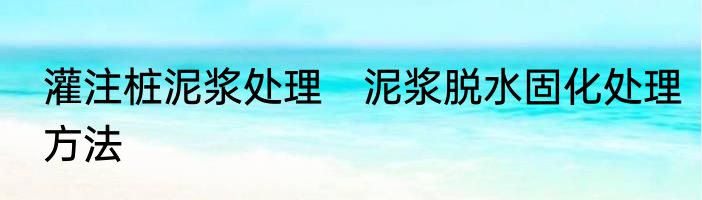 灌注桩泥浆处理　泥浆脱水固化处理方法