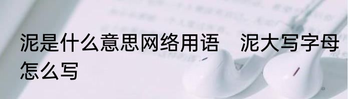 泥是什么意思网络用语　泥大写字母怎么写
