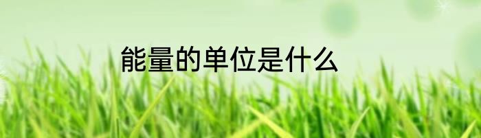 能量的单位是什么