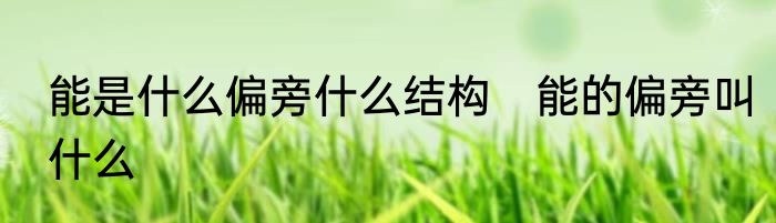 能是什么偏旁什么结构　能的偏旁叫什么