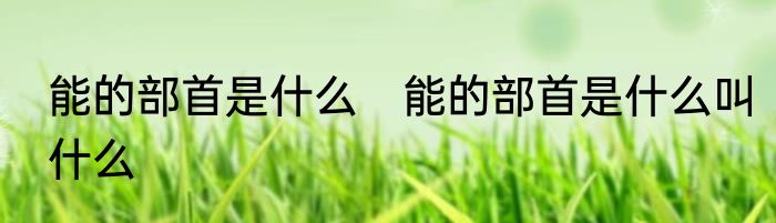 能的部首是什么　能的部首是什么叫什么