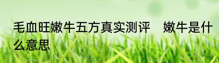 毛血旺嫩牛五方真实测评　嫩牛是什么意思