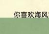 你喜欢海风甜甜的气息下一句