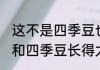 这不是四季豆也不是豌豆 白地瓜种子和四季豆长得太像了
