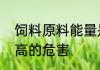 饲料原料能量是什么　羊饲料能量过高的危害