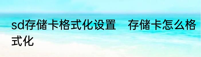 sd存储卡格式化设置　存储卡怎么格式化