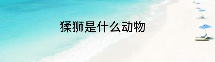 猱狮是什么动物