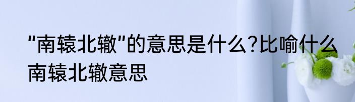 “南辕北辙”的意思是什么?比喻什么　南辕北辙意思