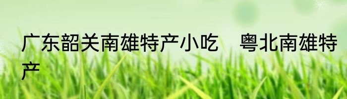 广东韶关南雄特产小吃　粤北南雄特产