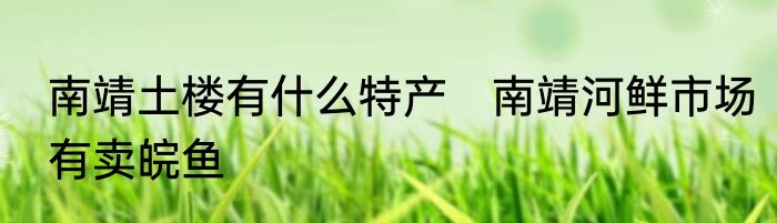 南靖土楼有什么特产　南靖河鲜市场有卖皖鱼