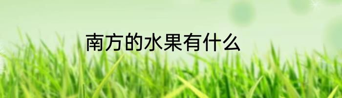 南方的水果有什么