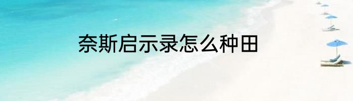 奈斯启示录怎么种田
