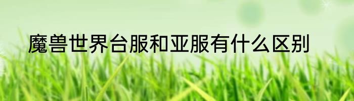 魔兽世界台服和亚服有什么区别