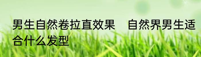 男生自然卷拉直效果　自然界男生适合什么发型