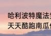 哈利波特魔法觉醒南瓜田地精怎么过　天天酷跑南瓜伯爵怎么合成