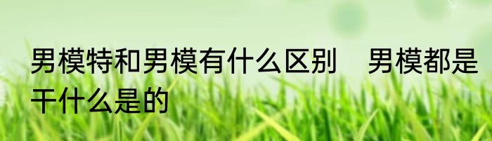 男模特和男模有什么区别　男模都是干什么是的