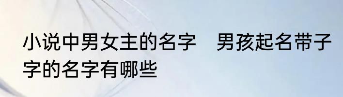 小说中男女主的名字　男孩起名带子字的名字有哪些