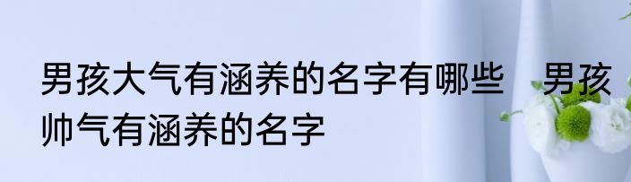 男孩大气有涵养的名字有哪些　男孩帅气有涵养的名字