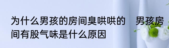 为什么男孩的房间臭哄哄的　男孩房间有股气味是什么原因