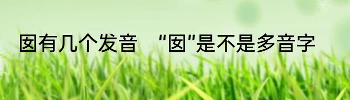 囡有几个发音　“囡”是不是多音字