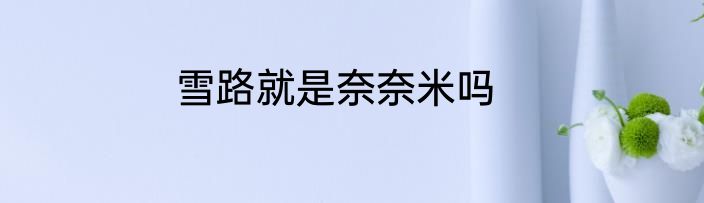 雪路就是奈奈米吗