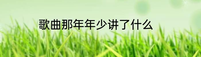歌曲那年年少讲了什么