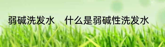 弱碱洗发水　什么是弱碱性洗发水