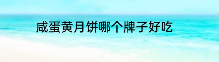 咸蛋黄月饼哪个牌子好吃